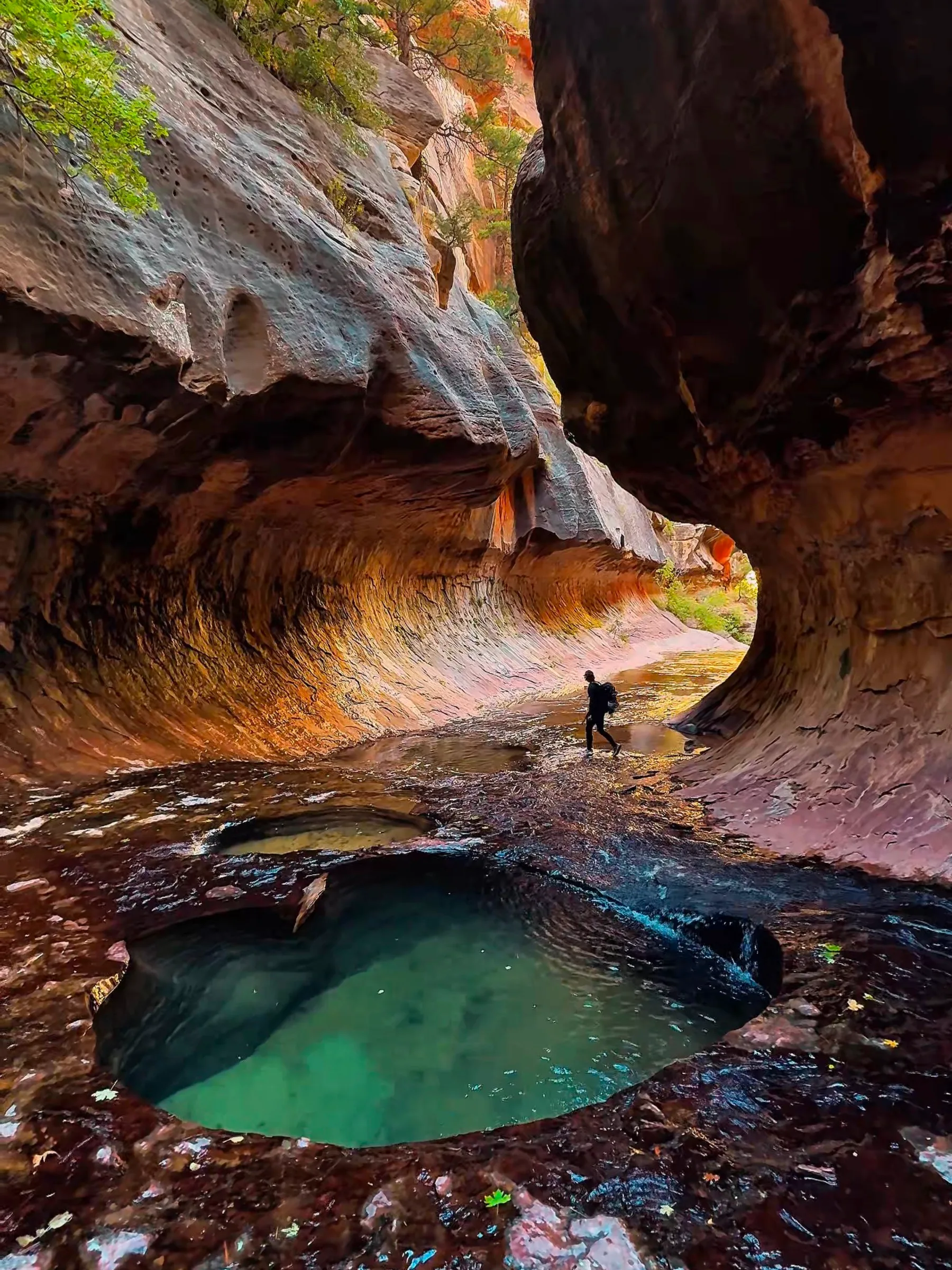 The Subway in Zion: a keyhole pool of green water under curving sandstone, a tiny hiker behind.